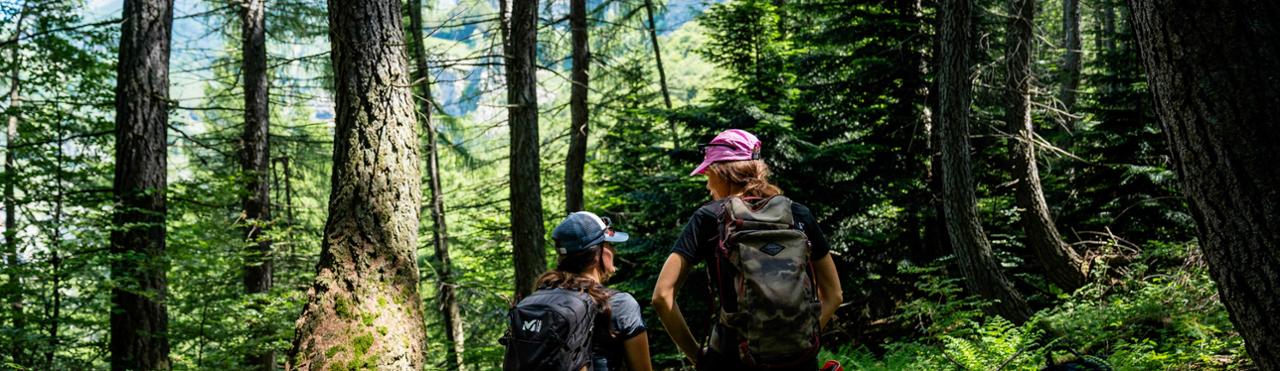 QUATTRO ESPERIENZE DI BAREFOOTING E BAGNI DI FORESTA NEL CUNEESE